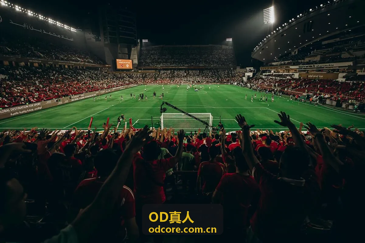 OD真人社交视频互动功能